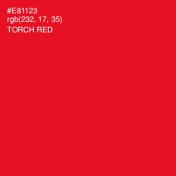 #E81123 - Torch Red Color Image